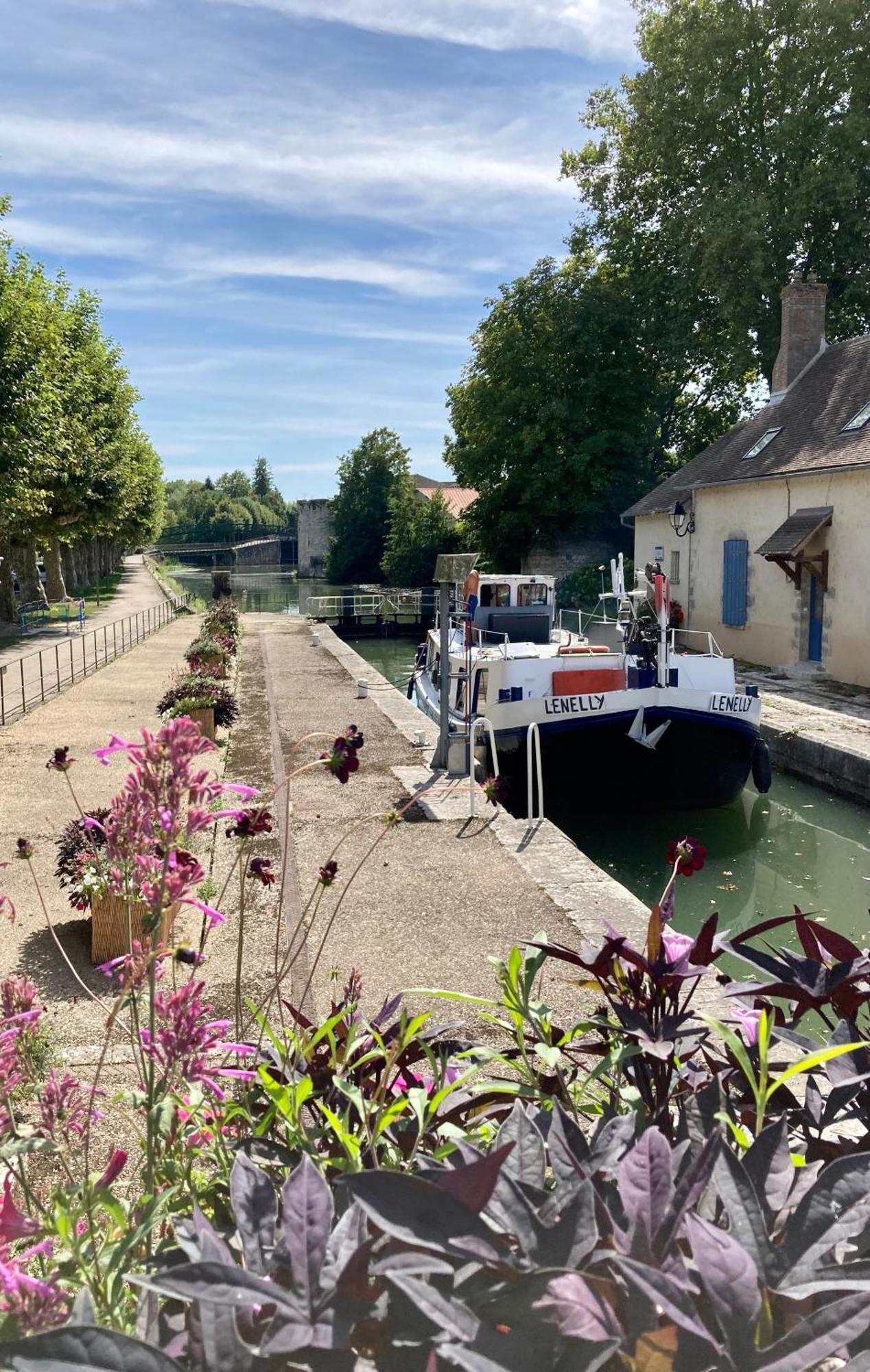 La Maison Virginie 1 A 2 Pers Charmant Hyper Centre- Cour- Parking- Linge- Fibre- Proximite Lac Canal Piscine Монтаржи Екстериор снимка